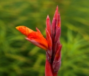 2023 09 17 LongFellowGardens 041